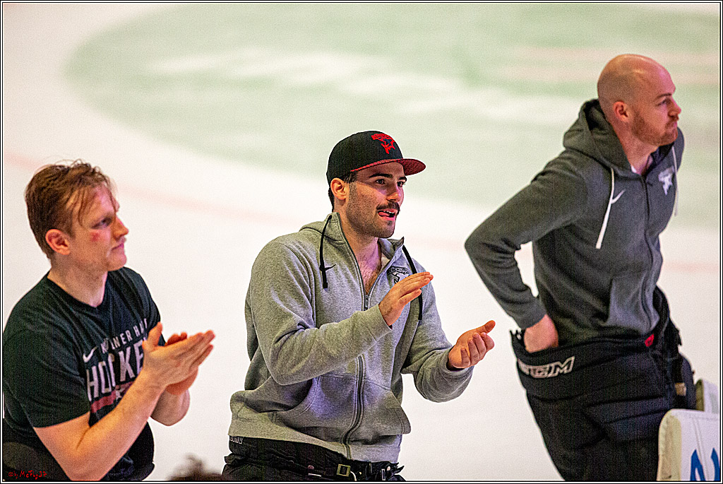 DEL; Duesseldorfer EG - Koelner Haie; Duesseldorf, 29.11.2019